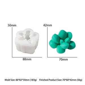 Detailed comparison of succulent silicone mold and finished green resin flower craft