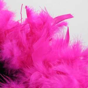 Macro detail of vibrant rose pink feathers showing fine texture and fluffy party dress trim