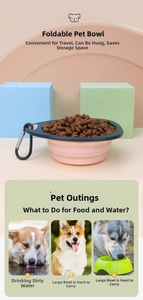 Detail view of foldable pink silicone pet bowl with metal carabiner and dry kibble food