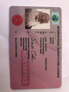 Detailed view of Santa Claus sleigh flying license card with creative holiday details