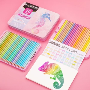 Flat lay of 50 pastel macaron colored pencils in a premium metal box with a DIY color card
