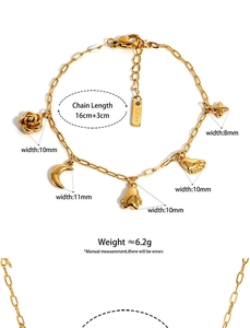 Detailed view of gold stainless steel bracelet showing charms and 16cm chain specifications
