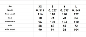 Detailed size chart for mesh maxi dress with measurements for XS S M and L sizes