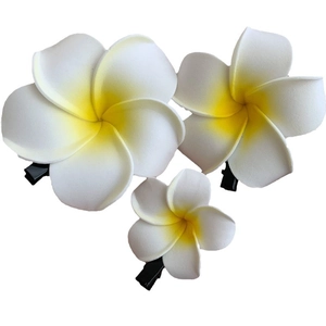 Three sizes of tropical frangipani hair clips with white and yellow gradient petals
