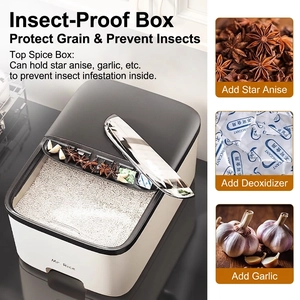 Airtight rice storage box with pest-proof compartment and easy-open gray lid