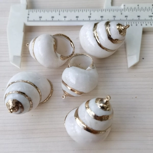 Makro-Detail von spiralförmigen Muschel-Anhängern mit Goldrand und 30mm Messskala