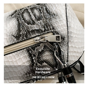 Close-up of snake skin texture and polished silver metal zipper on stylish handbag