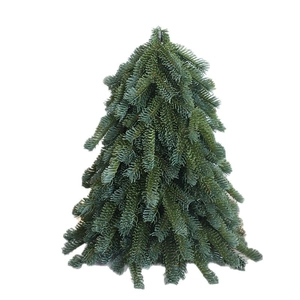 Realistic mini PE Noble Fir Christmas tree tabletop decoration with layered needles