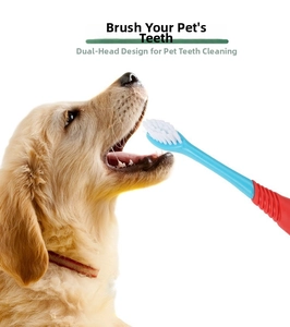 Detail of dual-head pet toothbrush cleaning golden retriever teeth with long handle
