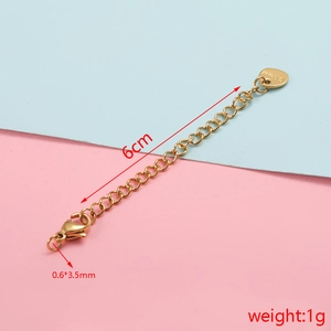 Detail of 6cm golden stainless steel extension chain with lobster clasp and S.Steel tag