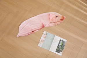 Vista dettagliata di una federa per cuscino in peluche a forma di maiale rosa su parquet