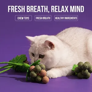 Grape-shaped catnip molar toy with natural plant spheres for cat dental cleaning