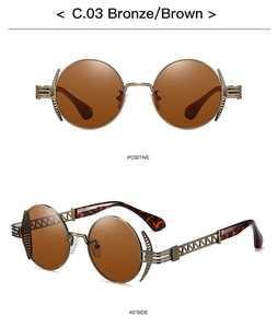 Steampunk sunglasses detail showing bronze metal frame with tortoise shell temples