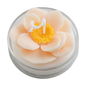Succulent blossom scented candle in clear glass cup holder for creative gift giving