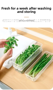 Detailed view of storing fresh herbs in a long airtight transparent plastic food container