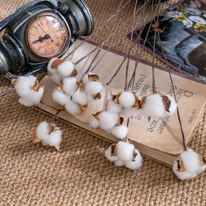 Detailed view of dried cotton flower stems with natural pods on a rustic table