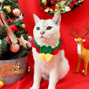 Close-up of a handmade knitted pet Christmas collar with small bell on a cat