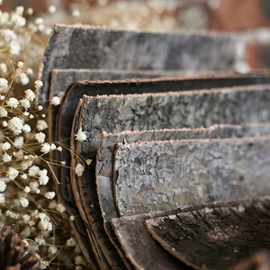 Close-up of stacked natural birch bark pieces with rough texture and forest style decor