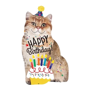Detail of cute British Shorthair cat birthday decoration with cake and party hat