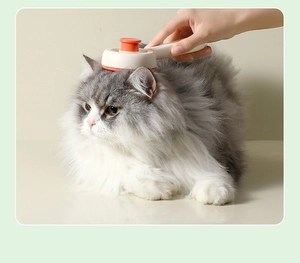 Détail d'une brosse autonettoyante enlevant les poils d'un chat gris et blanc duveteux