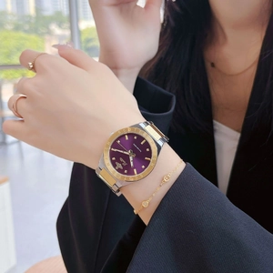 Elegant Scottie ladies watch with purple dial, gold bee logo and bicolor steel strap