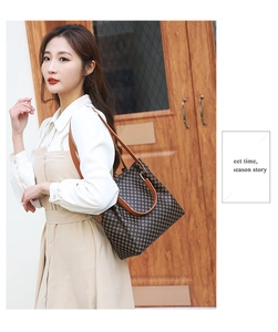 Classic checkered pattern shoulder bag shown in detail on a model for daily styling