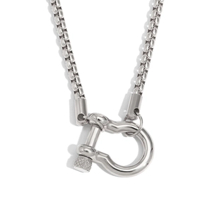 Polished silver stainless steel necklace with horseshoe D-ring pendant on round link chain