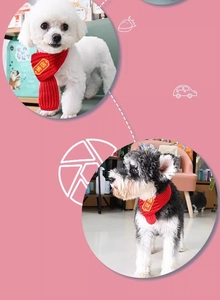 Détail de l'écharpe en tricot rouge pour animaux avec caractères dorés porte-bonheur