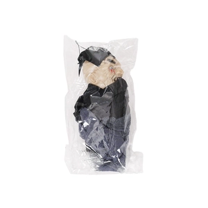 Close-up of Halloween hanging ghost ghost toy in clear polybag with black hat and grey gauze