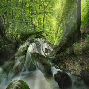 Dettaglio del tessuto per arazzo forestale con stampa naturale HD su materiale velato