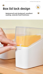 Detail of the flip-top locking lid on a white plastic cheese storage box for fresh sealing