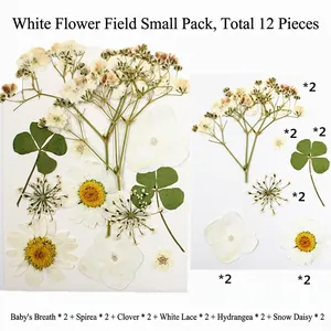 Kit da 12 fiori secchi bianchi con gipsofila e ortensia per stampi in resina epossidica