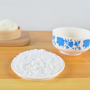 Realistic artificial cooked rice food model in white ceramic plate for photography
