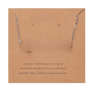 Macro shot of silver Capricorn zodiac necklace on craft card packaging