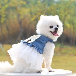Detail of pet denim princess dress with blue ruffles and a white mesh tutu on a dog