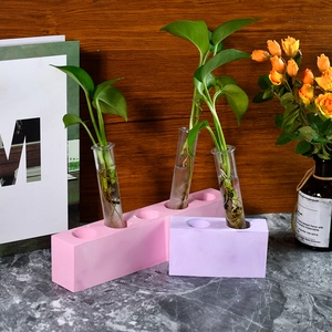 Vases hydroponiques modernes avec tubes en verre de couleurs rose et violet Morandi