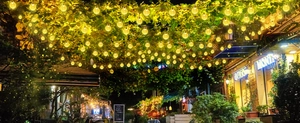 Close-up of solar bubble globe string lights with warm yellow glow on garden trellis