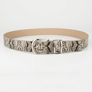 Detail of faux snakeskin pattern and polished silver buckle on women thin belt