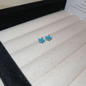 Macro de boucles d'oreilles étoile de mer bleues avec bords argentés en coffret