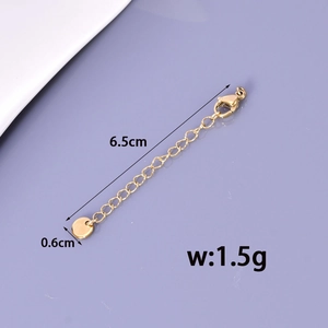 Golden stainless steel necklace extension chain with lobster clasp and round pendant