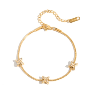 Bracelet chaîne serpent en acier inoxydable doré 18K avec breloques d'étoile de zircon
