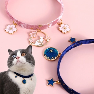 Pink and navy blue velvet pet collars with gold charms shown on a cat model