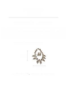 Detaillierte Größenangaben für das Set aus Blatthalskette und Strass-Ohrringen in Silber