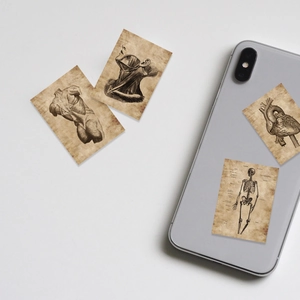 Vintage human anatomy stickers featuring medical bone and muscle sketches for laptops