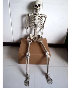 Life-size plastic skeleton prop sitting on a box for Halloween KTV haunted house decor