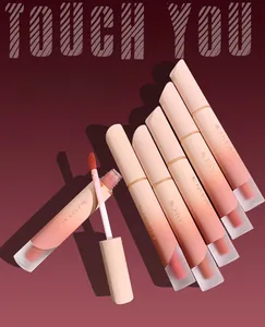 Detailed view of matte velvet lip glaze set with soft applicator and various warm shades