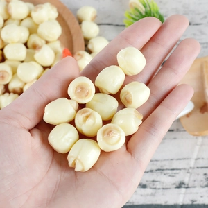 Realistic PVC lotus seeds for dollhouse DIY, held in hand to show 1-1.5cm scale