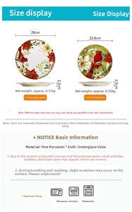 Size guide for ceramic plates showing 11 and 9 inch dimensions and technical specs