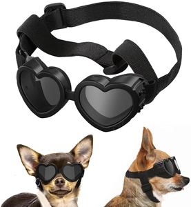 Close-up of heart-shaped pet goggles with adjustable straps on a small dog