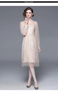 Détails de broderie sur tulle champagne d'une robe mi-longue française élégante